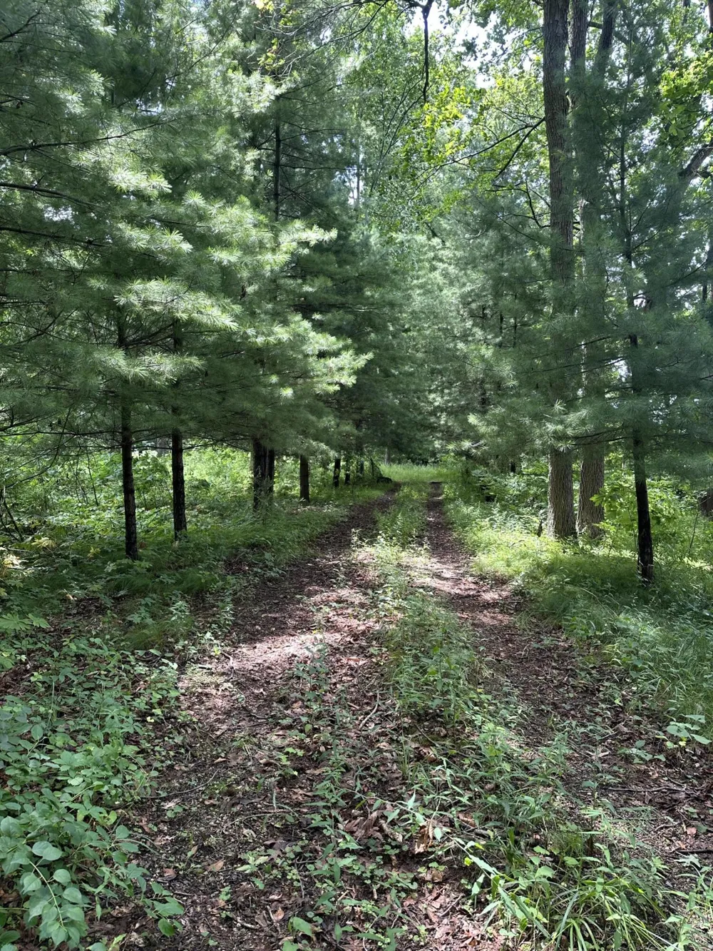 14765 Millard Road Fabius Township, MI 49093