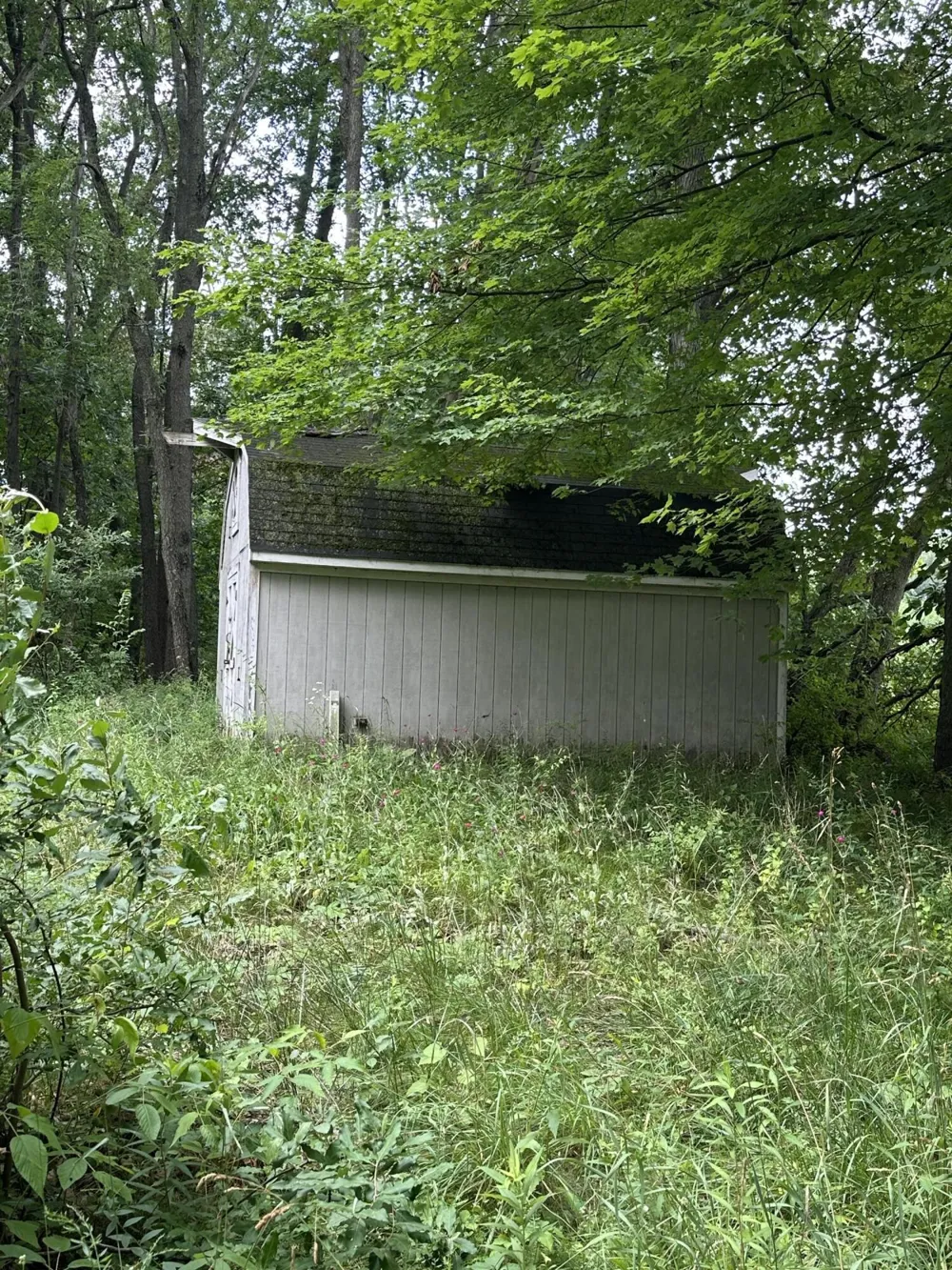 14765 Millard Road Fabius Township, MI 49093