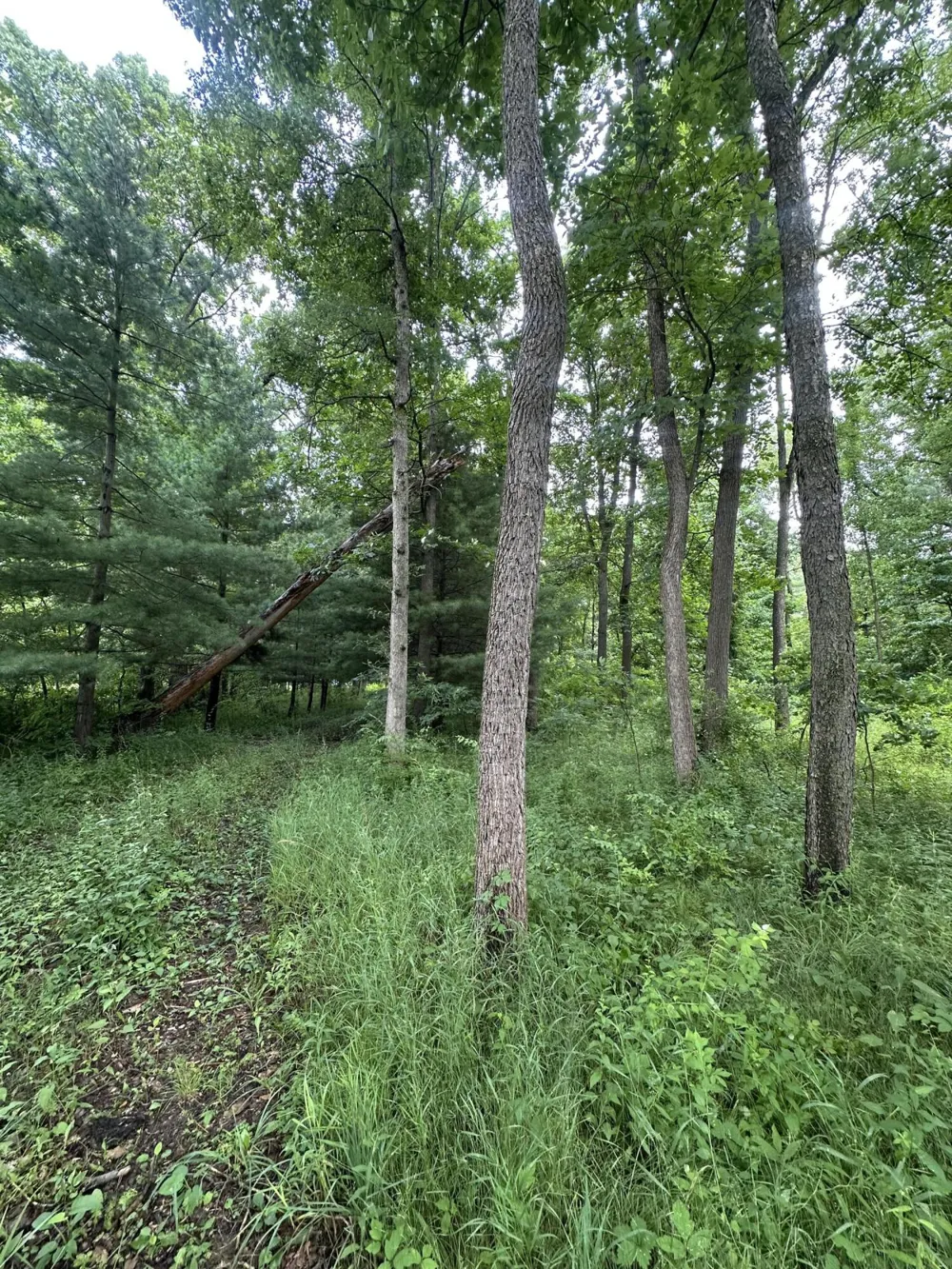 14765 Millard Road Fabius Township, MI 49093