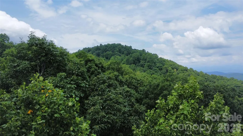 9999 North Pointe Drive #70 Zirconia, NC 28790
