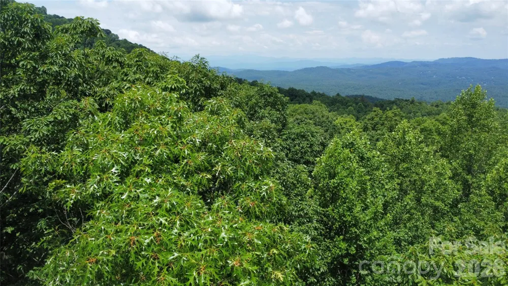 9999 North Pointe Drive #70 Zirconia, NC 28790