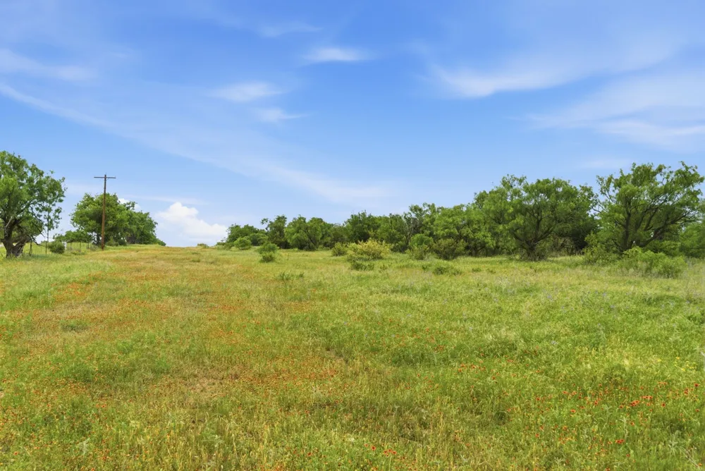 141 FM 880 Moran, TX 76464
