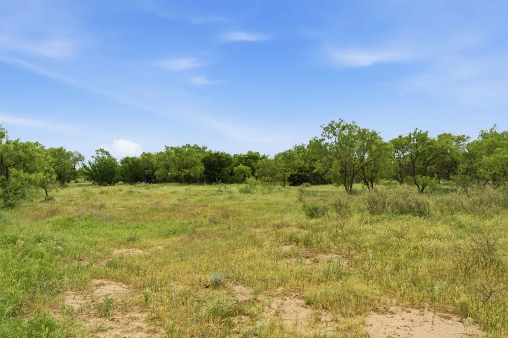 141 FM 880 Moran, TX 76464