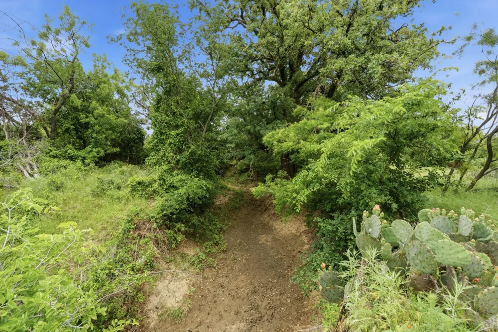 141 FM 880 Moran, TX 76464