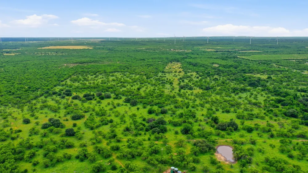 141 FM 880 Moran, TX 76464