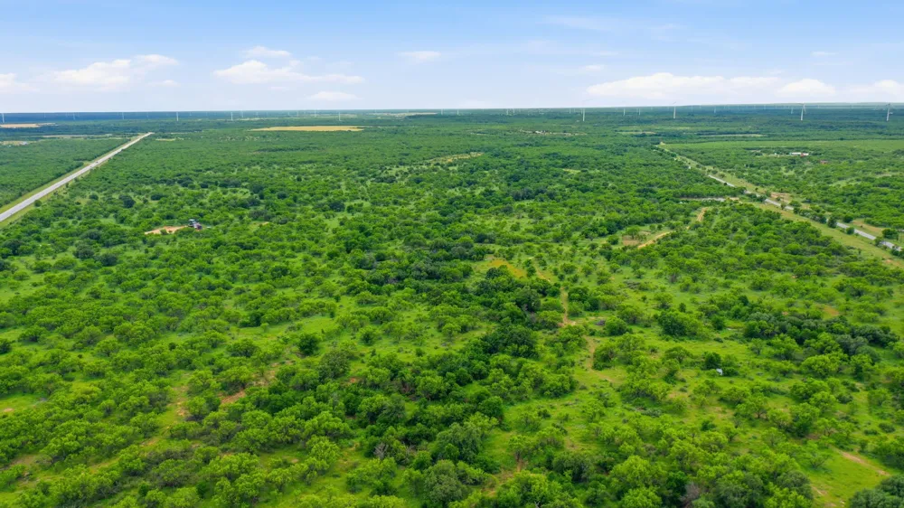 141 FM 880 Moran, TX 76464