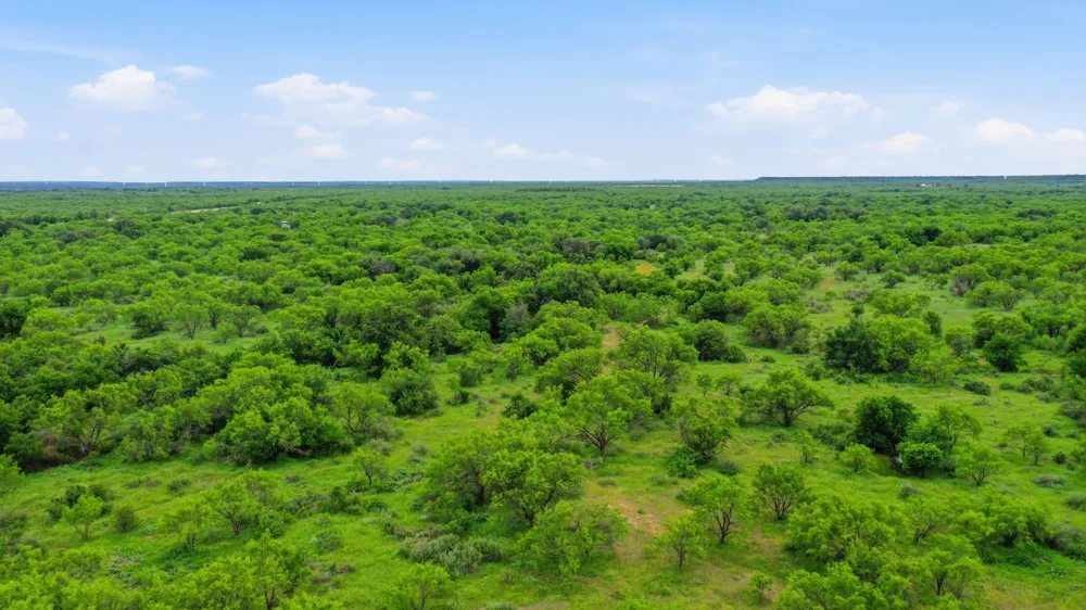 141 FM 880 Moran, TX 76464