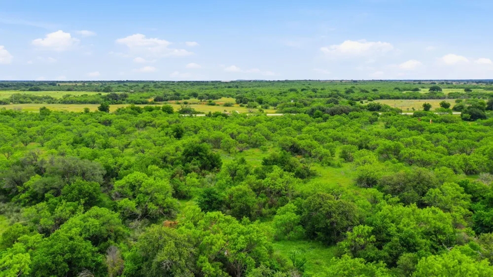 141 FM 880 Moran, TX 76464