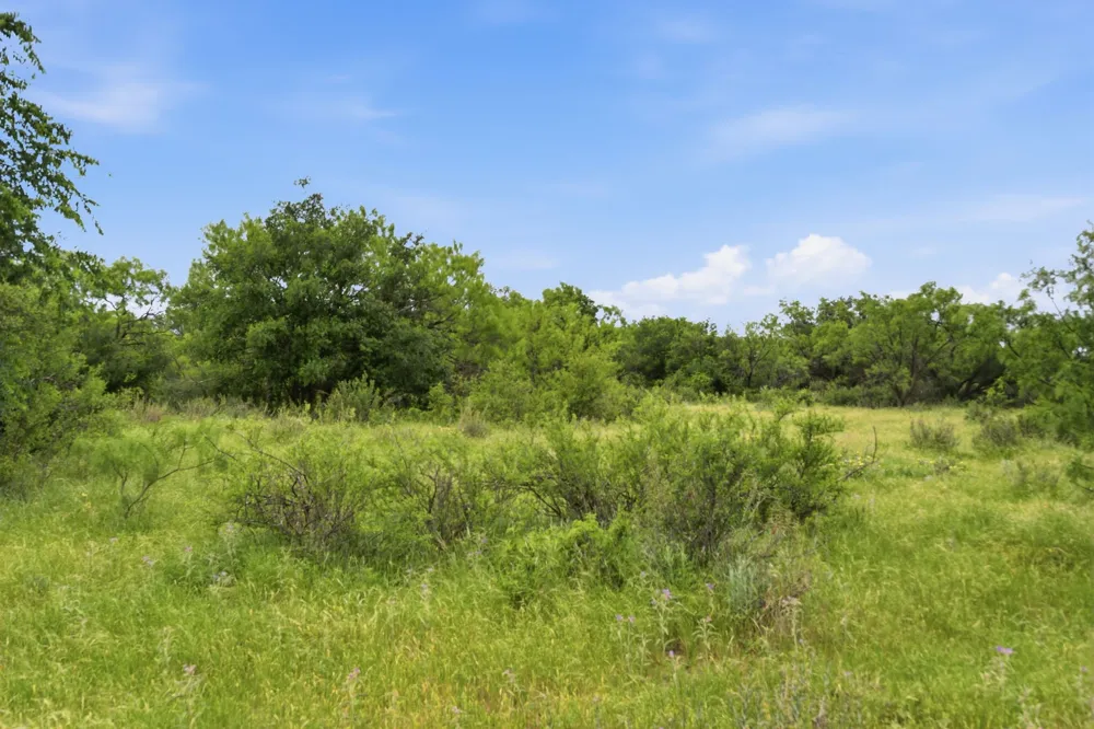 141 FM 880 Moran, TX 76464