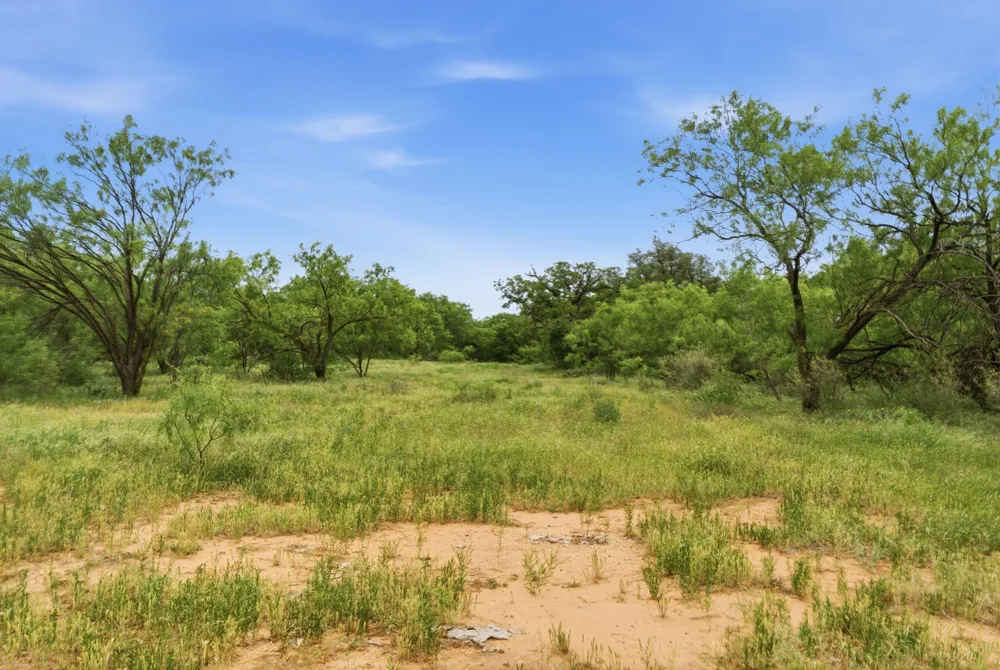 141 FM 880 Moran, TX 76464