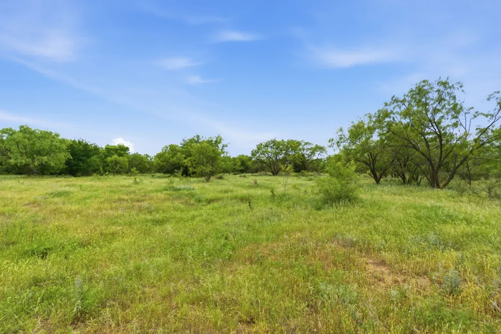 141 FM 880 Moran, TX 76464