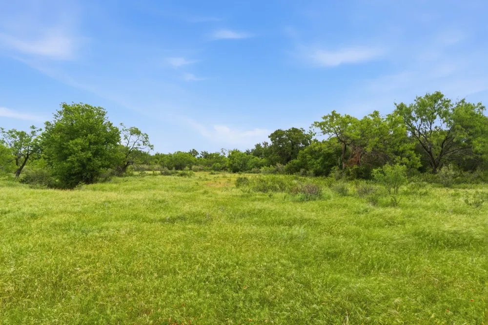 141 FM 880 Moran, TX 76464