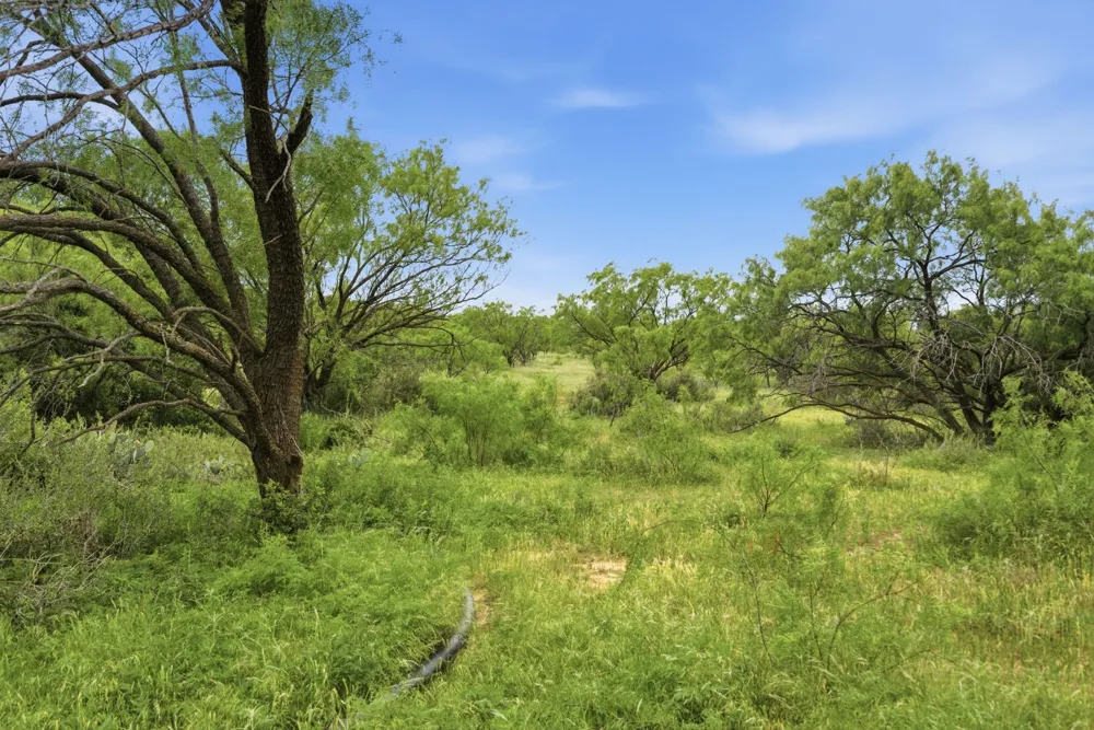 141 FM 880 Moran, TX 76464