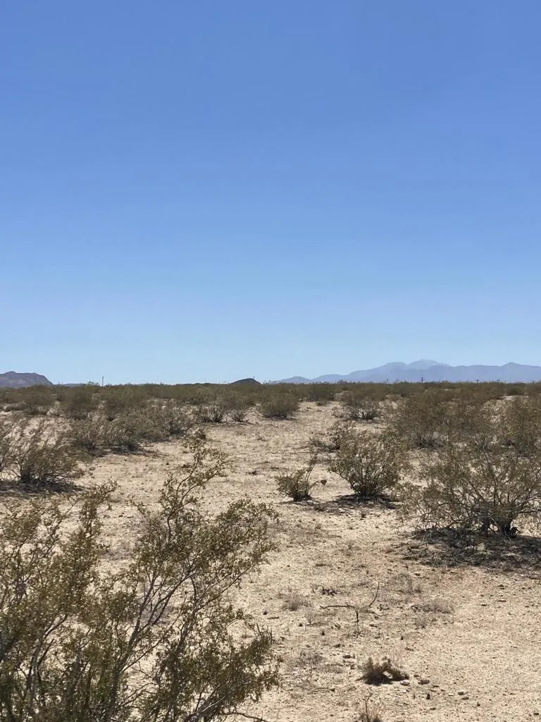 66055 Mars Drive Joshua Tree, CA 92252