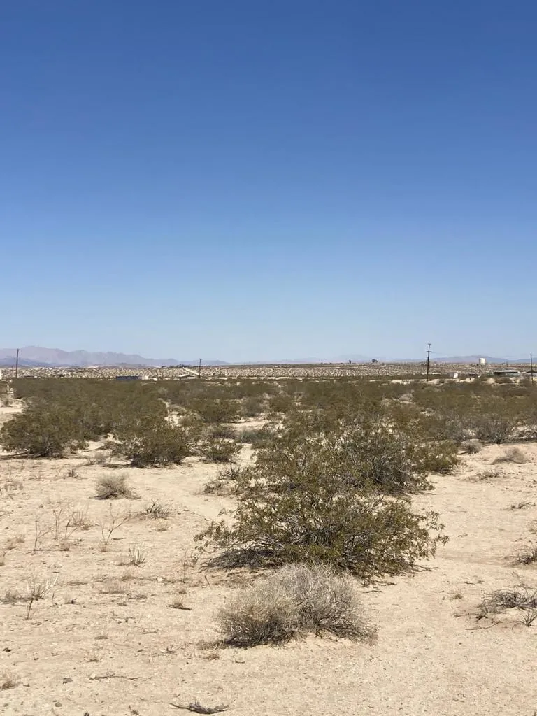 66055 Mars Drive Joshua Tree, CA 92252