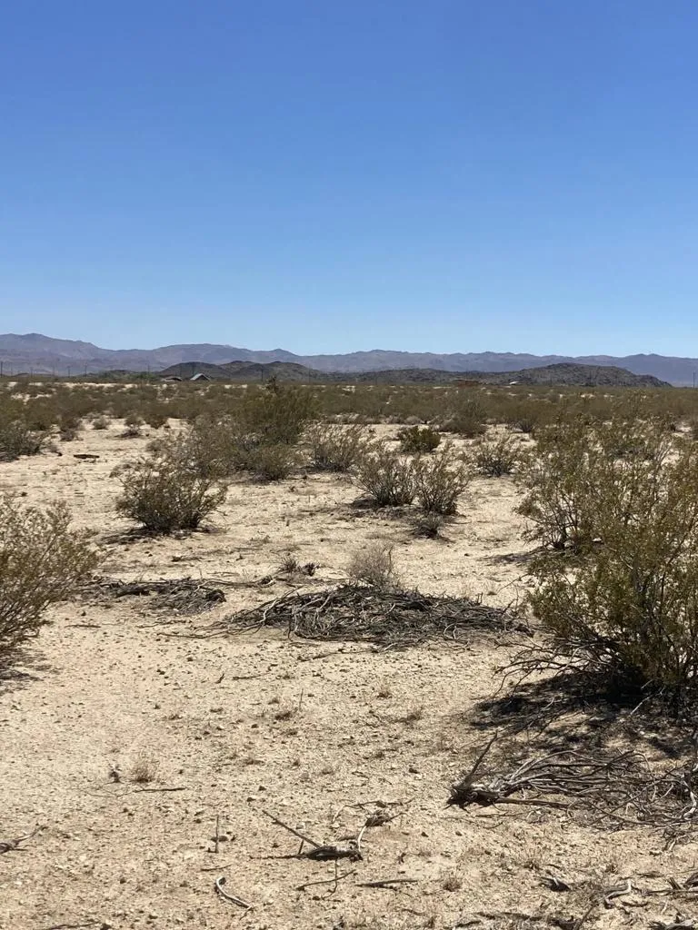 66055 Mars Drive Joshua Tree, CA 92252