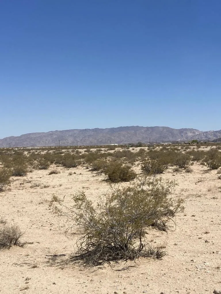 66055 Mars Drive Joshua Tree, CA 92252