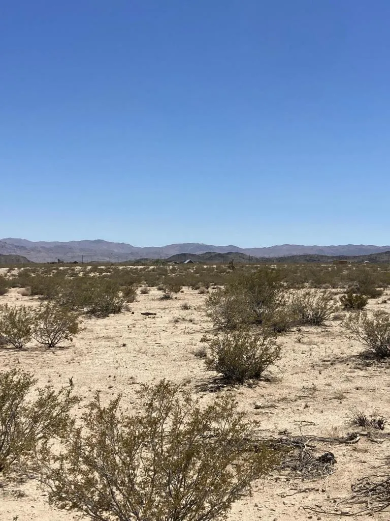 66055 Mars Drive Joshua Tree, CA 92252