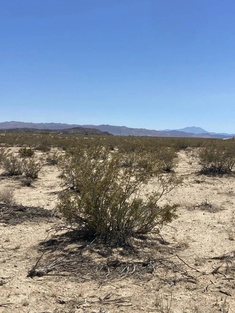 66055 Mars Drive Joshua Tree, CA 92252