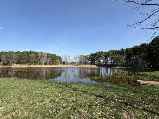 6301 S Stiles Road Pentwater, MI 49449