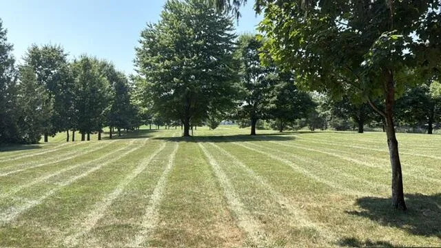 6301 S Stiles Road Pentwater, MI 49449