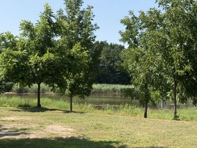 6301 S Stiles Road Pentwater, MI 49449