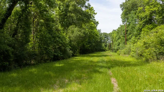 0 Drew Ln Conroe, TX 77304