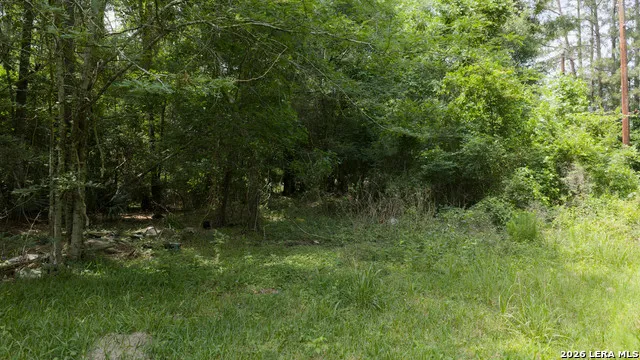 0 Drew Ln Conroe, TX 77304