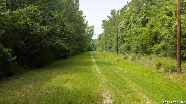 0 Drew Ln Conroe, TX 77304