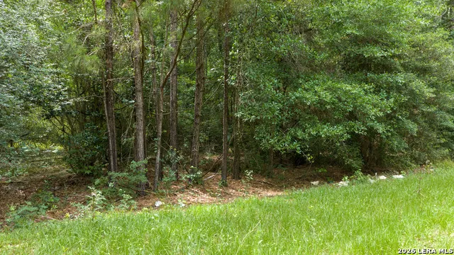 0 Drew Ln Conroe, TX 77304