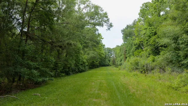 0 Drew Ln Conroe, TX 77304