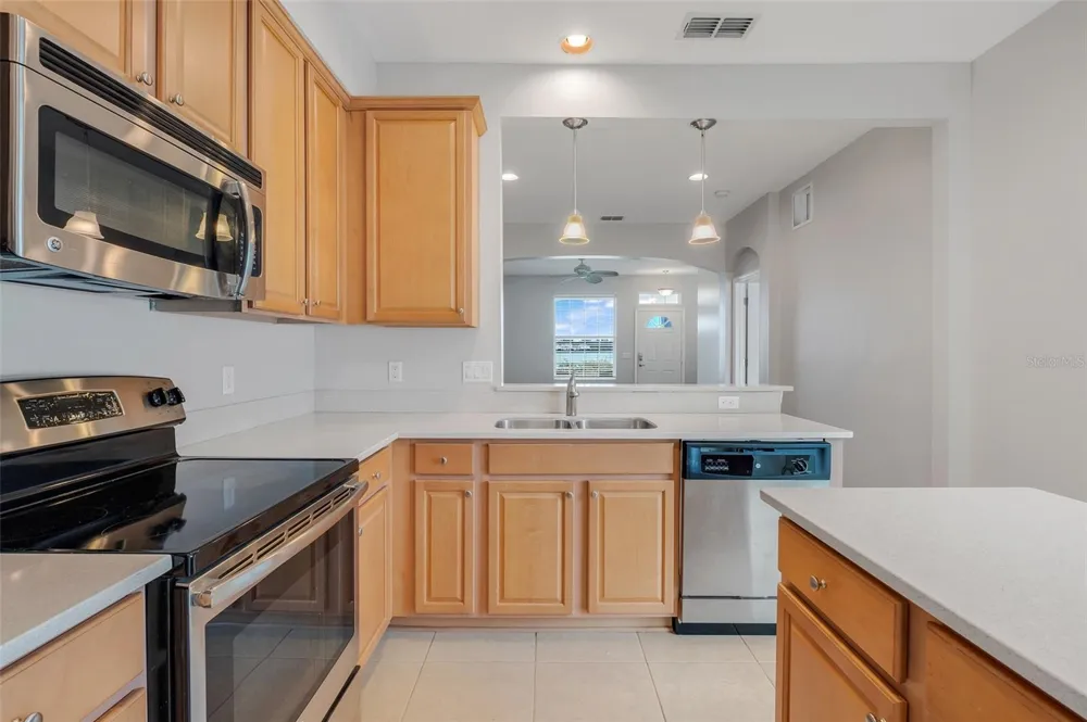 513 JUNIPER SPRINGS DRIVE Groveland, FL 34736