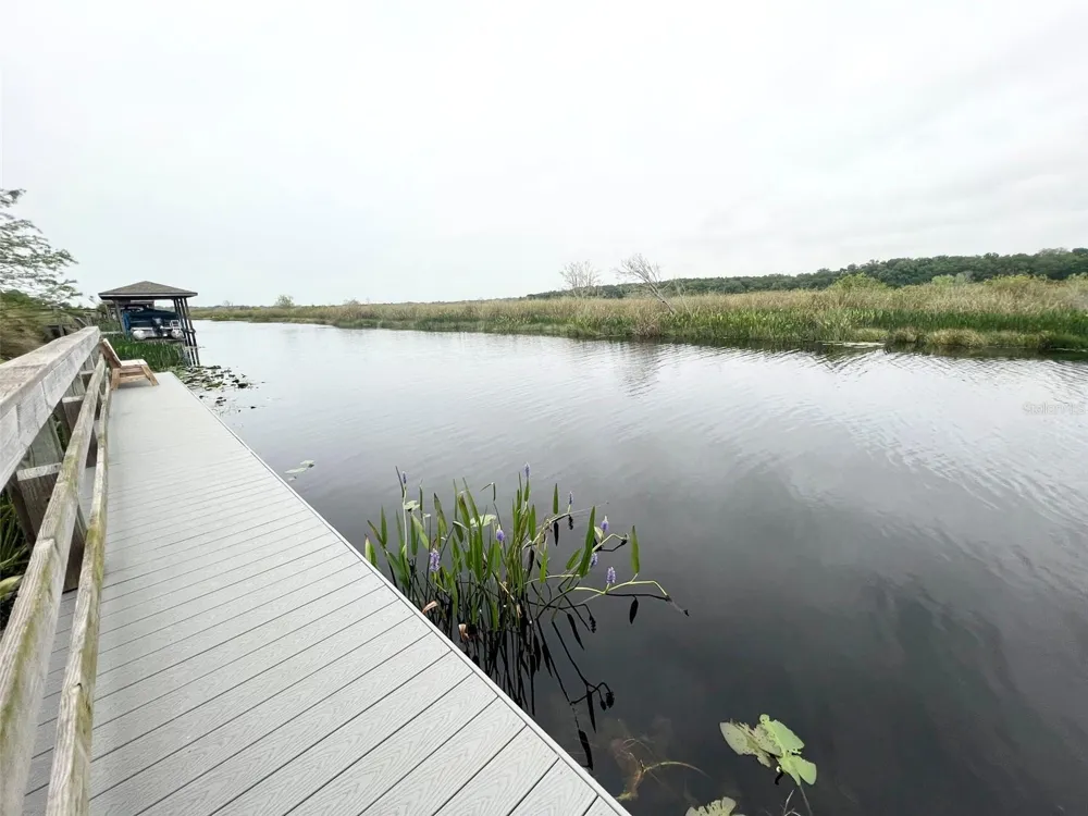 513 JUNIPER SPRINGS DRIVE Groveland, FL 34736