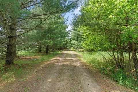 1041 River Drive