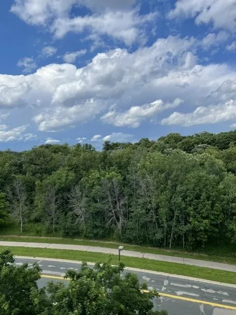 1321 Lake Drive W #320 Chanhassen, MN 55317
