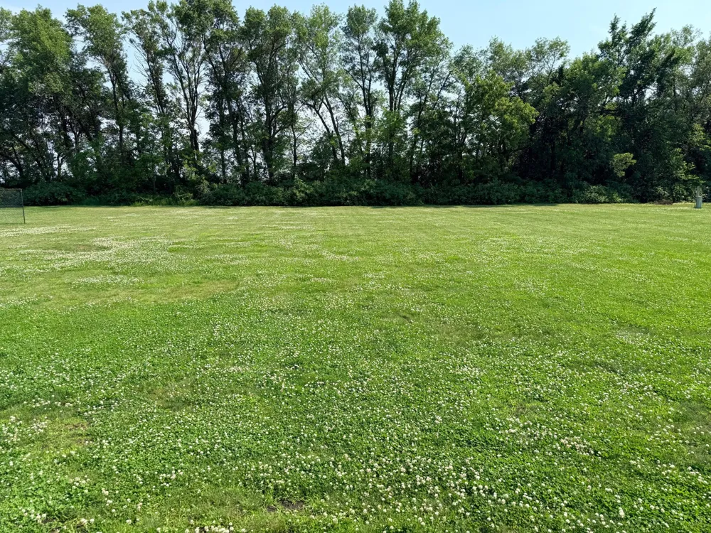 141 Washington Street Walnut Grove, MN 56180