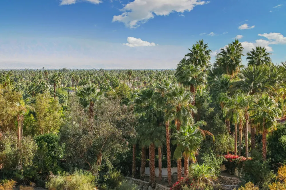 1716 Ridge Road Palm Springs, CA 92264