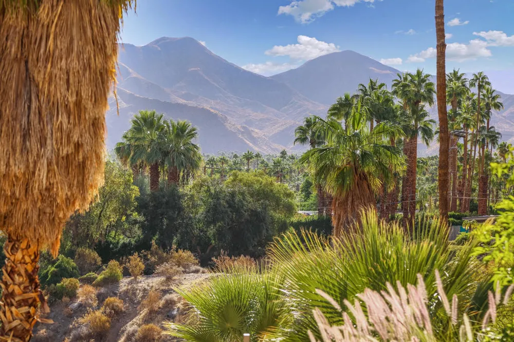 1716 Ridge Road Palm Springs, CA 92264