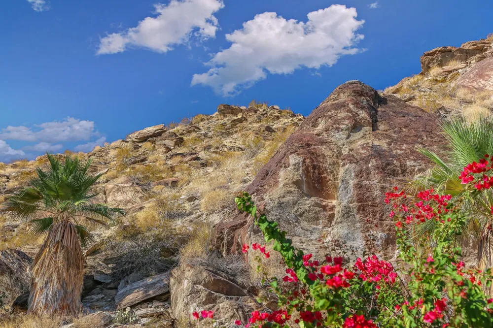 1716 Ridge Road Palm Springs, CA 92264