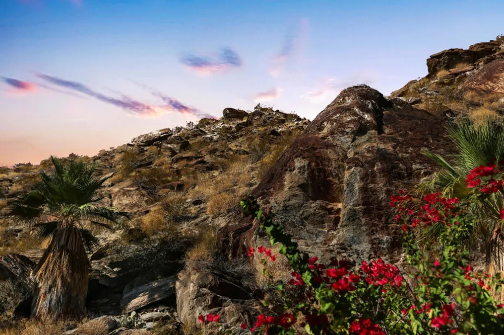 1716 Ridge Road Palm Springs, CA 92264