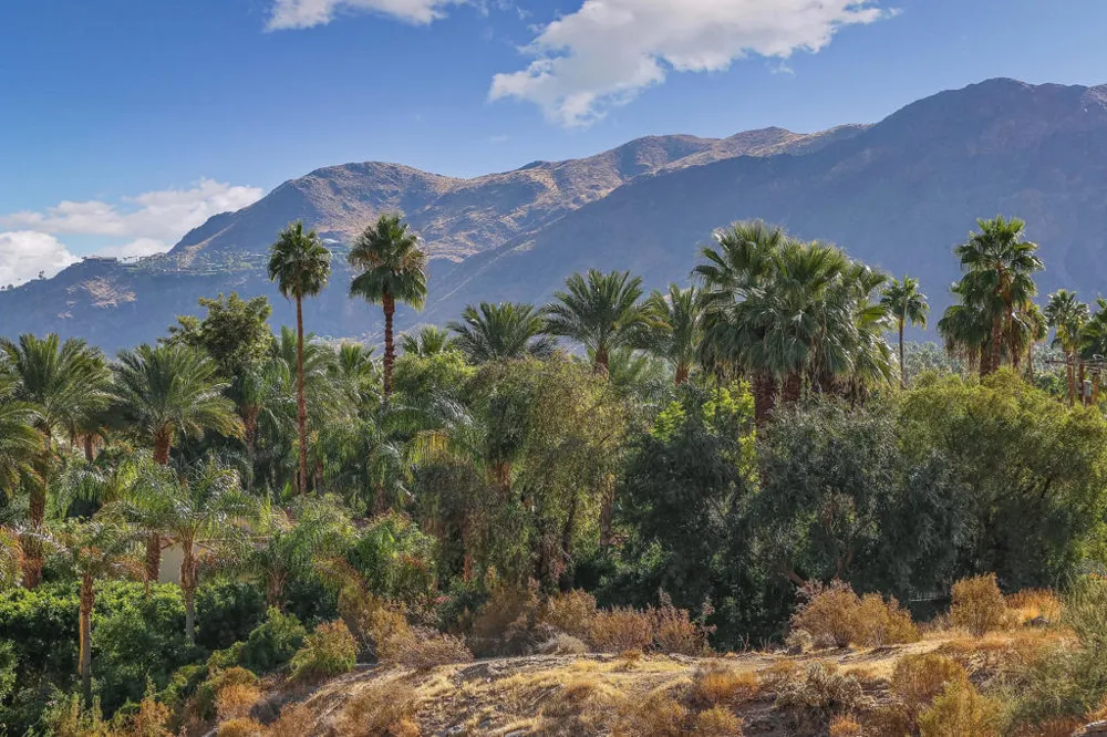 1716 Ridge Road Palm Springs, CA 92264