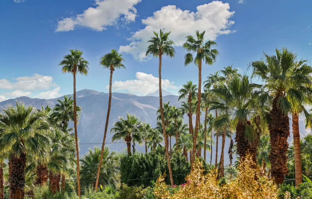 1716 Ridge Road Palm Springs, CA 92264