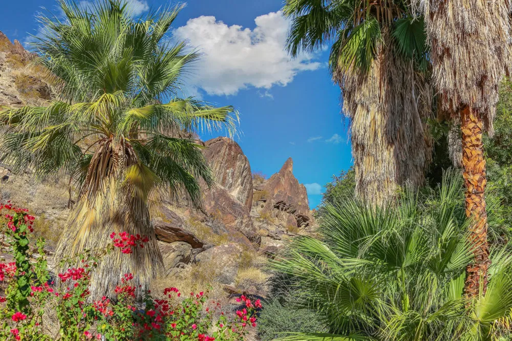 1716 Ridge Road Palm Springs, CA 92264