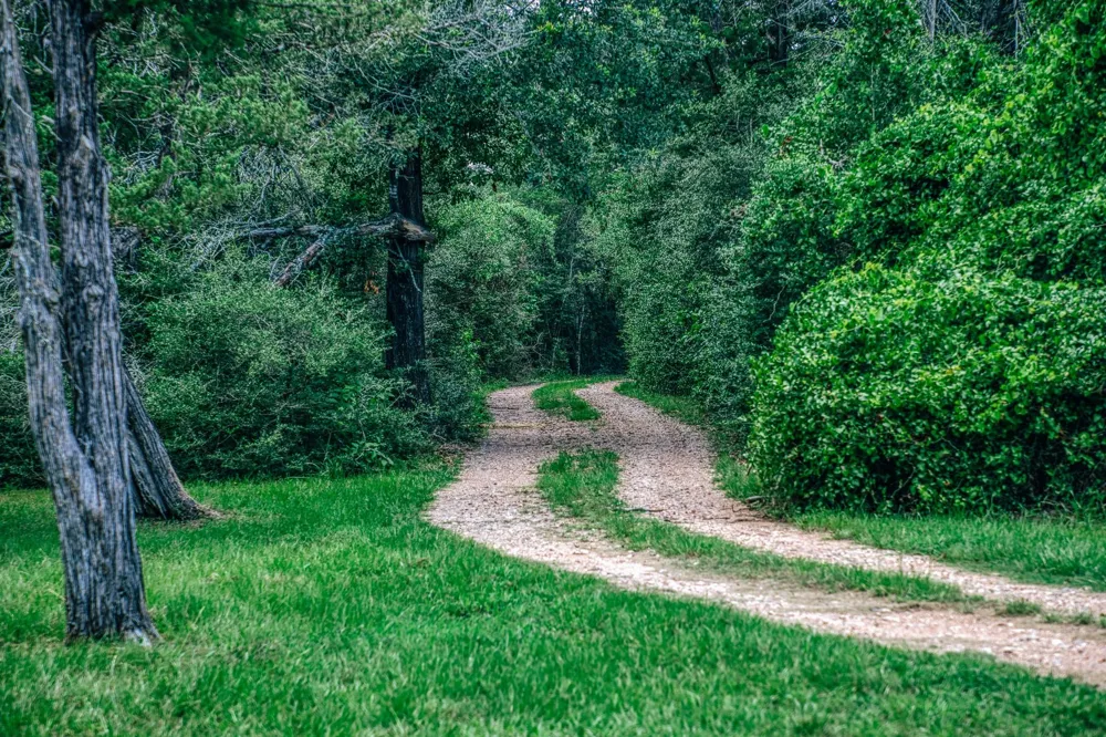 3301 Round Top Road Round Top, TX 78954