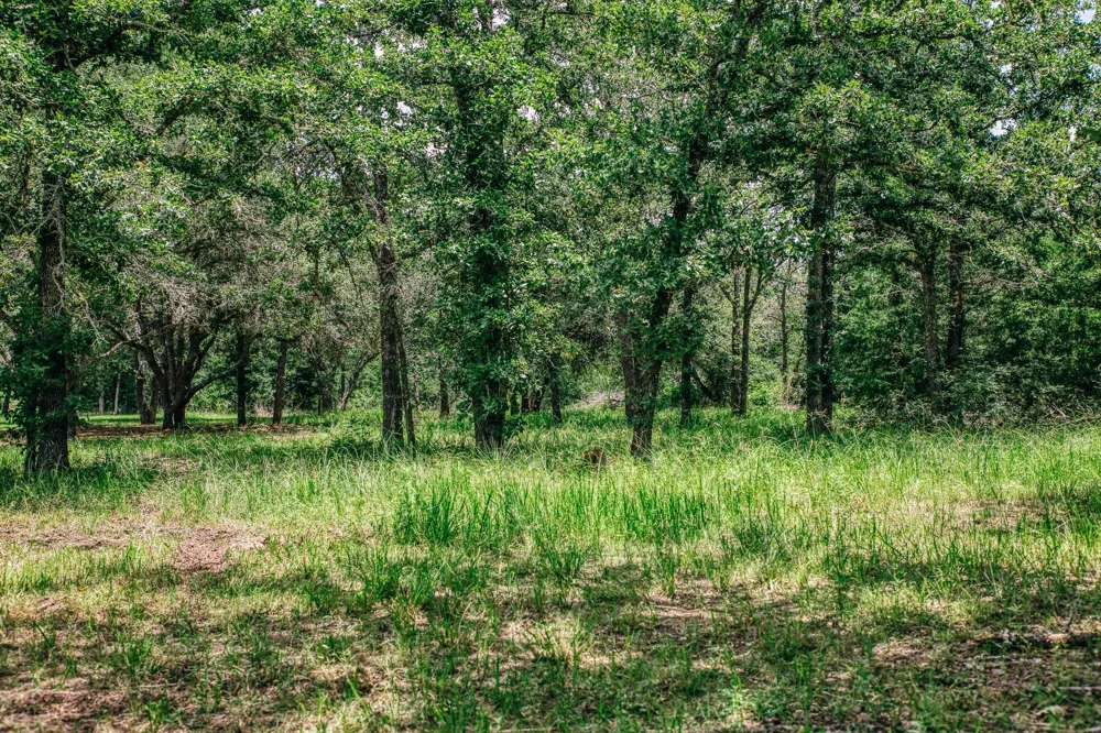 3301 Round Top Road Round Top, TX 78954