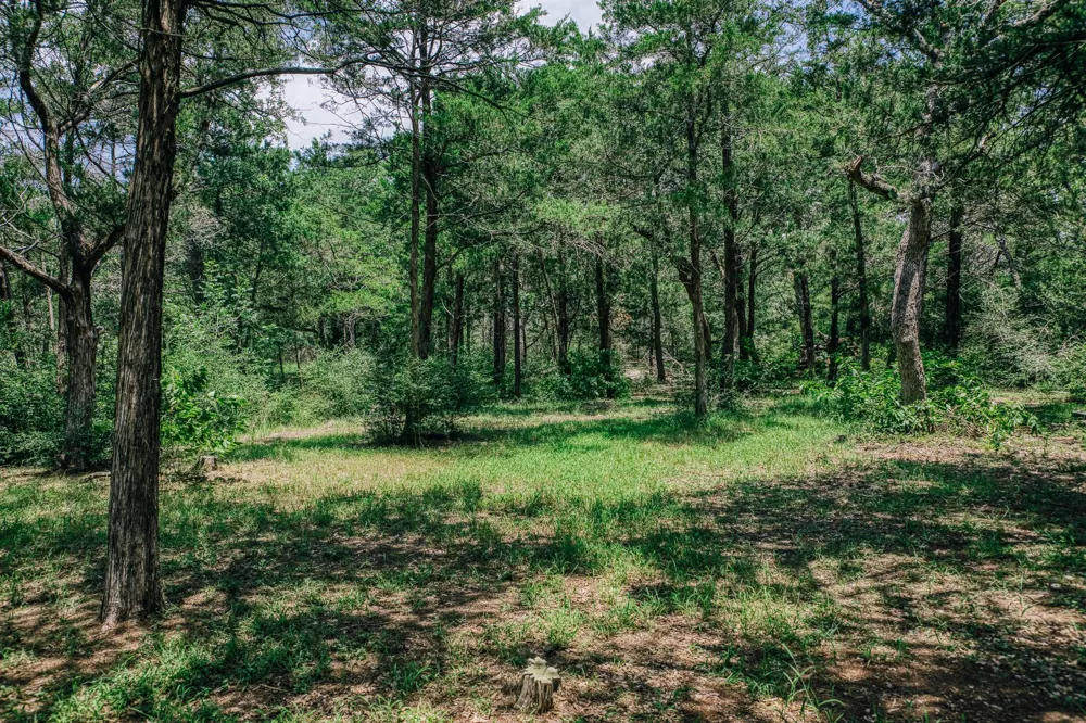 3301 Round Top Road Round Top, TX 78954