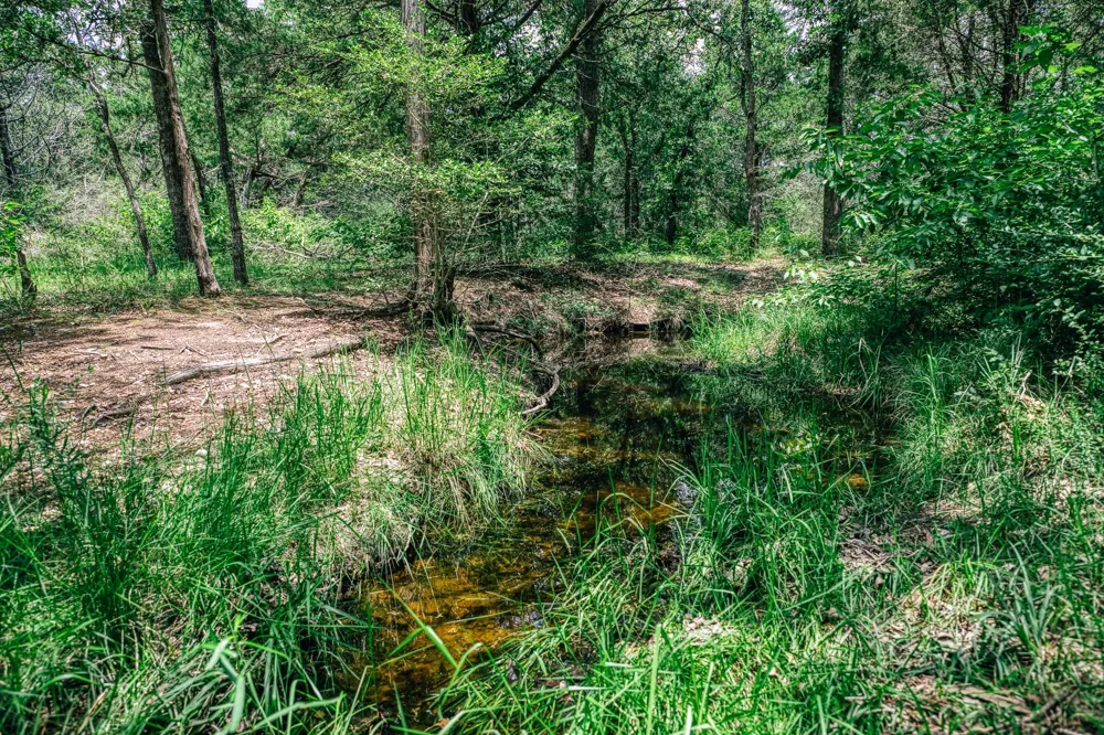 3301 Round Top Road Round Top, TX 78954