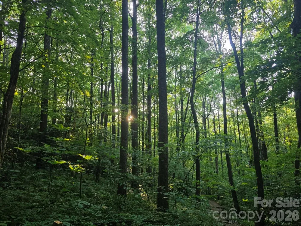 52 Big View Drive Marion, NC 28752