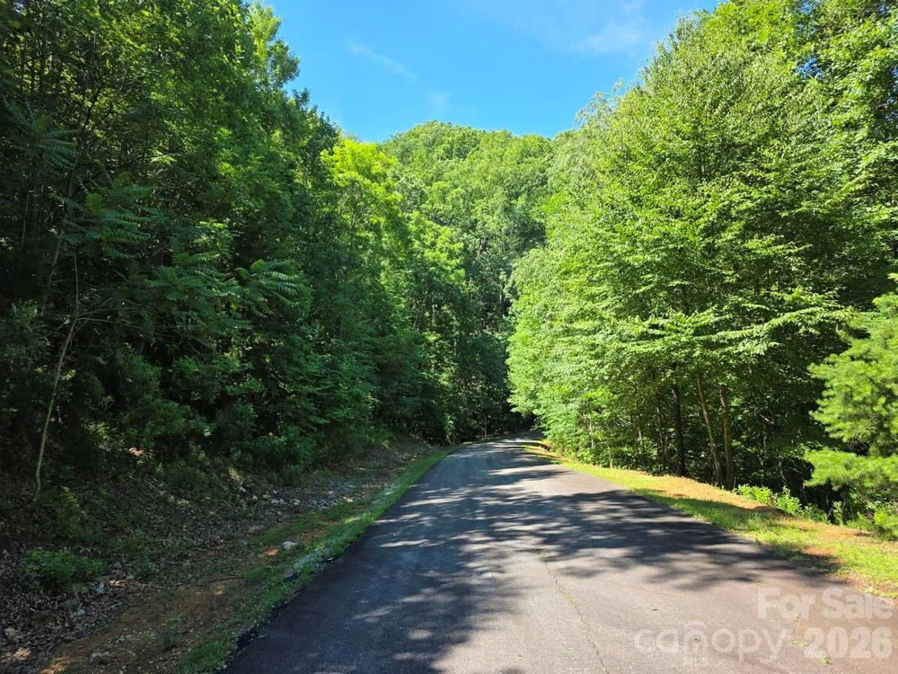 52 Big View Drive Marion, NC 28752