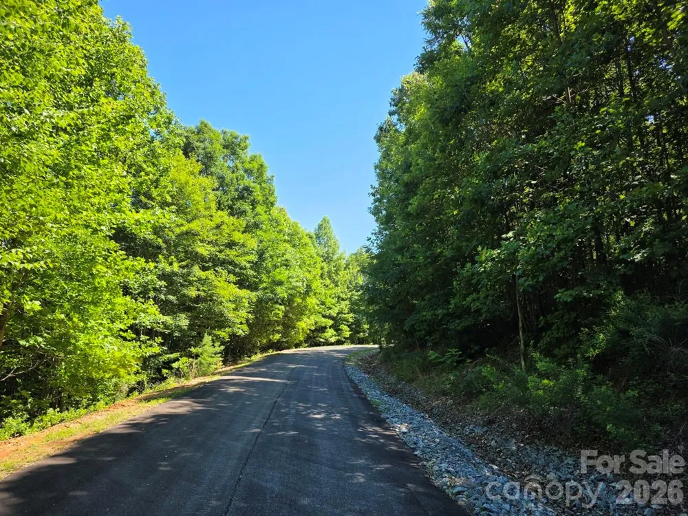 52 Big View Drive Marion, NC 28752